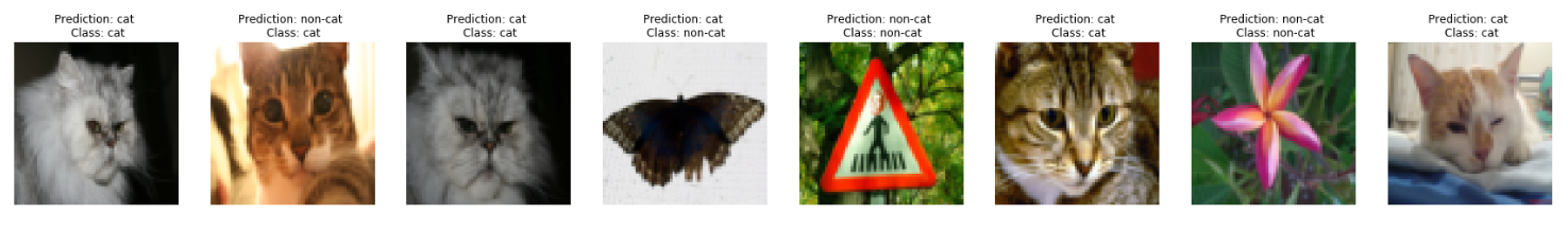 Deep neural network classifier labeling images as cat or non-cat